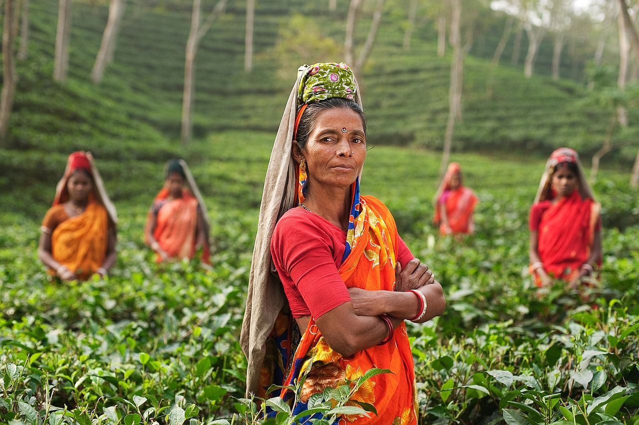The Benefits Of Seeking Organic Fairtrade Goods